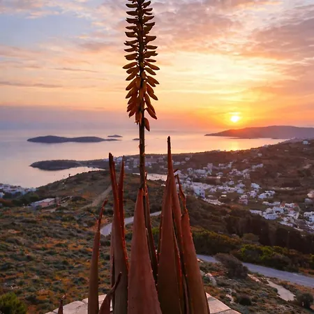 Aloe On The Rock With Private Pool & Sea View By Explore Andros Apartment